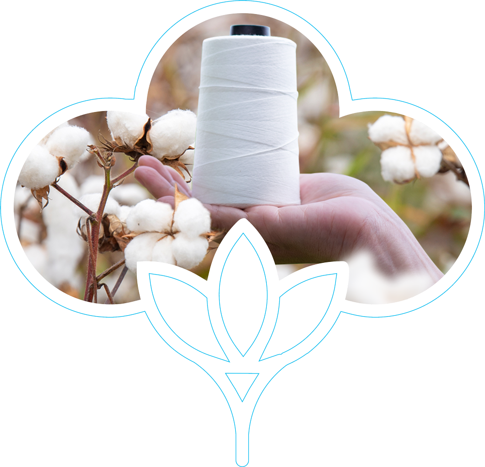 Dwarkadhish Cotspin Excellence